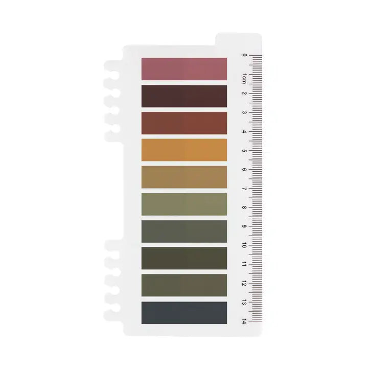 Sticky Notes 10 colors - Mystic Autumn
