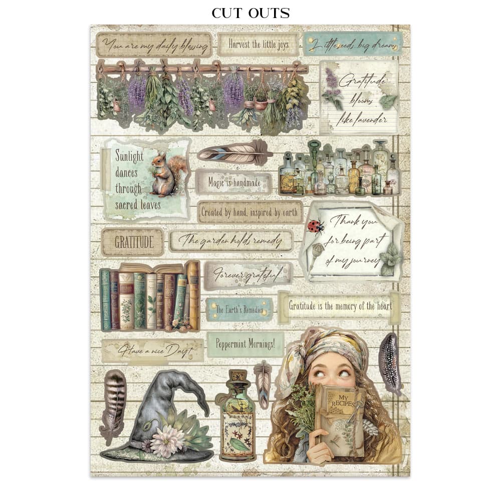 Junk Journal - Herbarium Silvae - 8 - Stamperia - Tidformera