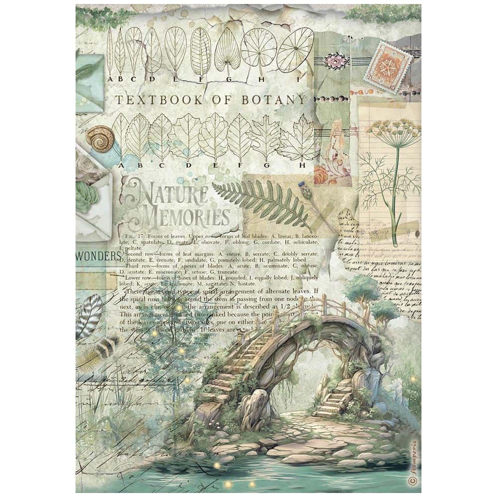 Rice Paper A4 - Herbarium Silvae - 6 - pack - 2 - Stamperia - Tidformera