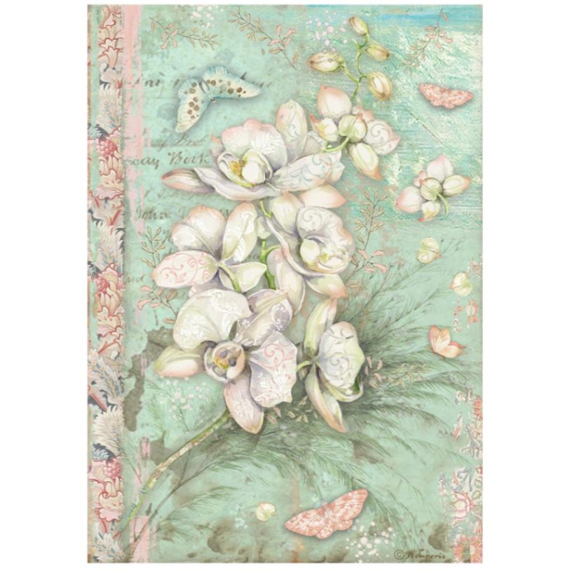 Rice Paper A4 Orchids and Cats - Orchid - 1 - Stamperia - Tidformera