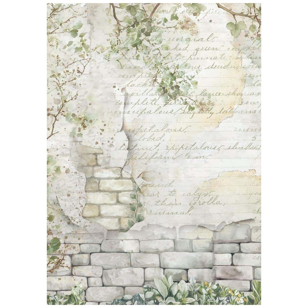 Rice Paper A6 - Herbarium Silvae - Backgrounds - 8 - pack - 7 - Stamperia - Tidformera