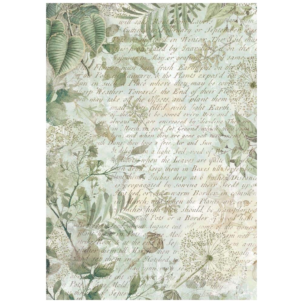 Rice Paper A6 - Herbarium Silvae - Backgrounds - 8 - pack - 6 - Stamperia - Tidformera