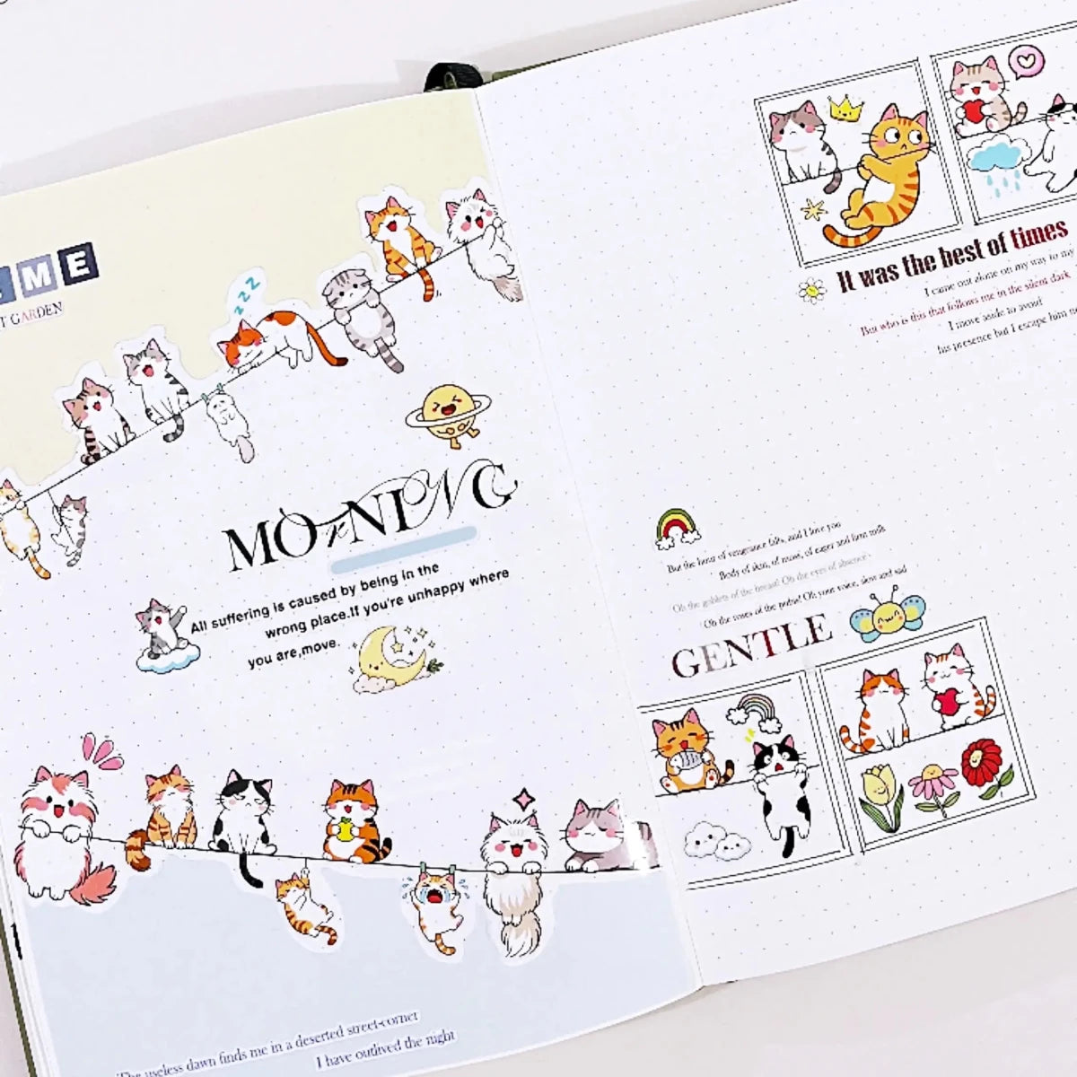 Sticker Pet Tape - Pre-cut - 40 mm - Kitty Conga - 4 - Washi Tape Shop - Tidformera
