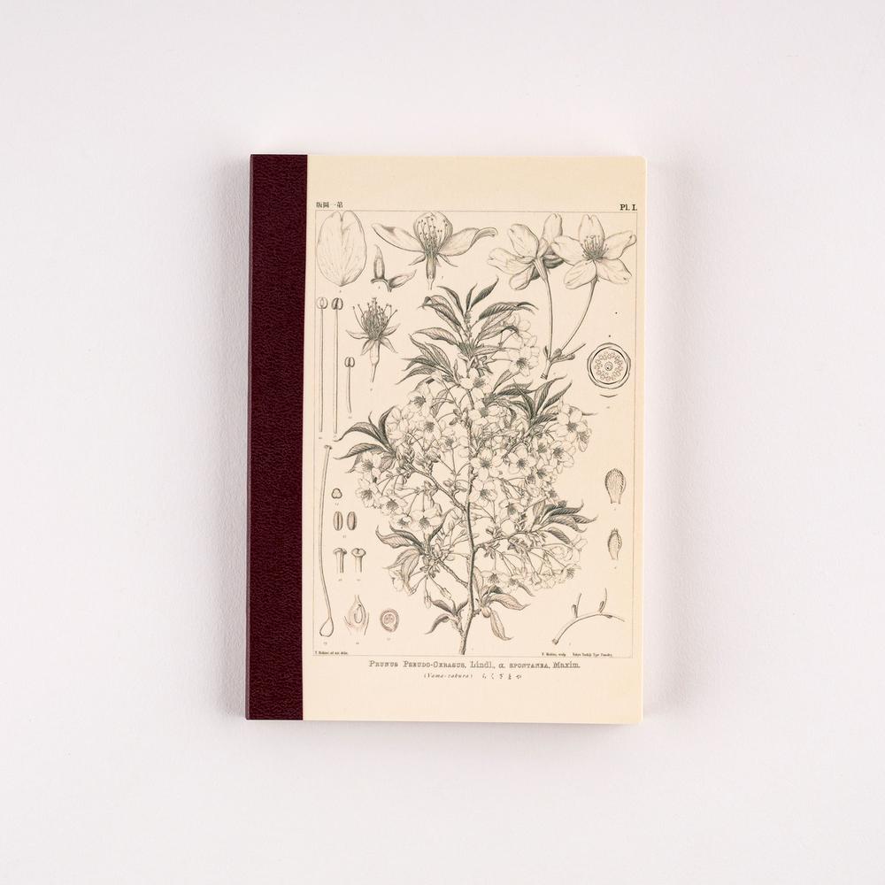 Tomitaro Makino: Hobonichi Graph Notebook (A6) - Yamazakura - 2027 - 1 - Hobonichi Techo - Tidformera