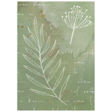 Rice Paper A6 - 8-pack - Backgrounds - Flowers and Poems