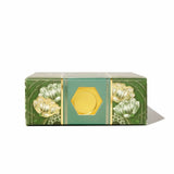 Bläckflaska 38 ml - Book of Botany - 5 - Ferris Wheel Press - Tidformera