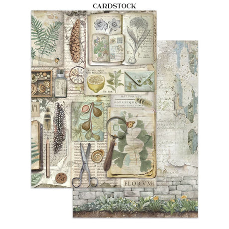 Junk Journal - Herbarium Silvae - 6 - Stamperia - Tidformera