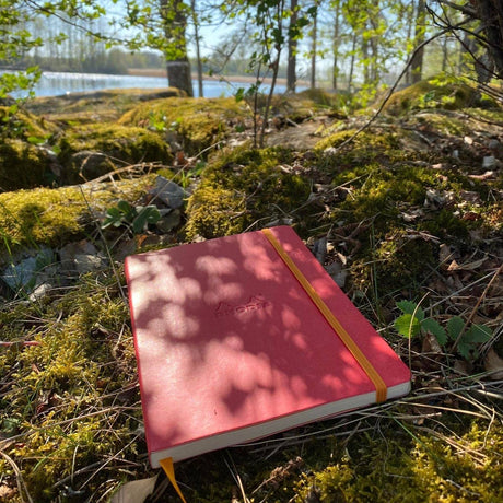 Rhodiarama Anteckningsböcker Linjerad Nacarat - 3 - Rhodia - Tidformera