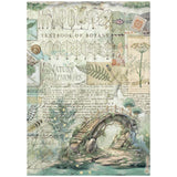Rice Paper A4 - Herbarium Silvae - 6 - pack - 2 - Stamperia - Tidformera