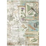 Rice Paper A4 - Herbarium Silvae - 6 - pack - 3 - Stamperia - Tidformera