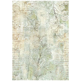 Rice Paper A6 - Herbarium Silvae - Backgrounds - 8 - pack - 9 - Stamperia - Tidformera