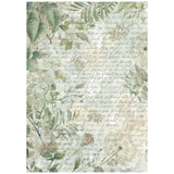 Rice Paper A6 - Herbarium Silvae - Backgrounds - 8 - pack - 6 - Stamperia - Tidformera