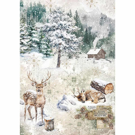 Rice Paper Art set - A5 - 8 - pack - Forest Tales - 8 - Ciao Bella - Tidformera