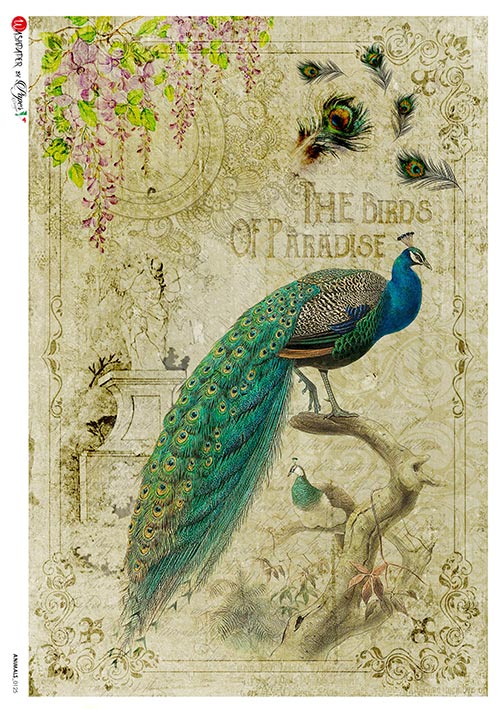 Rice Paper Decoupage - A5 - Animals 0125 - 1 - Paper Designs - Tidformera