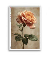 Rice Paper Decoupage - A5 - FLOWERS 0452 - 1 - Paper Designs - Tidformera