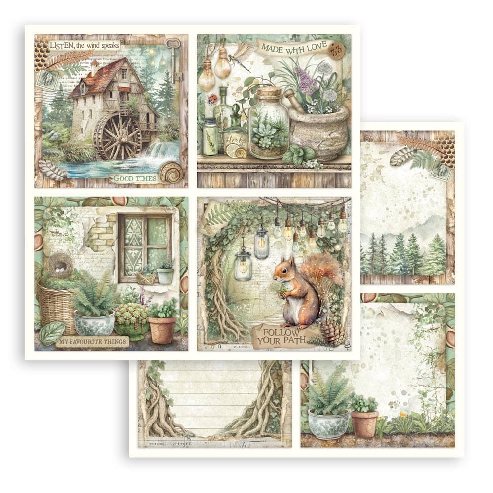 Scrapbookingpapper - Herbarium Silvae - Double faced - 8 - Stamperia - Tidformera