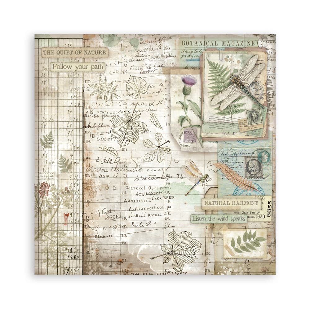 Scrapbookingpapper - Herbarium Silvae - Maxi Pad - 6 - Stamperia - Tidformera