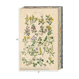 Scrapbookingpapper - Tim Holtz Backdrops Volume 3 - 4 - Tim Holtz - Tidformera