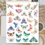 Stickers Plan & Plot Studio Vinyl - Colourful moths - 1 - Plan & Plot Studio - Tidformera