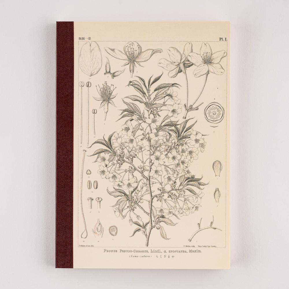 Tomitaro Makino: Hobonichi Graph Notebook (A5) - Yamazakura - 2027 - 1 - Hobonichi Techo - Tidformera