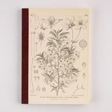 Tomitaro Makino: Hobonichi Graph Notebook (A5) - Yamazakura - 2027 - 1 - Hobonichi Techo - Tidformera
