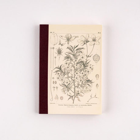Tomitaro Makino: Hobonichi Graph Notebook (A6) - Yamazakura - 2027 - 1 - Hobonichi Techo - Tidformera