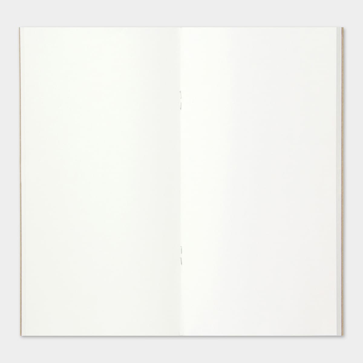 TRAVELER'S notebook Regular Camel - 4 - Traveler's Company - Tidformera