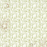 Vellum Paper 15 x 15 cm - Cabinet of curiosities - 6 - pack - 4 - Ciao Bella - Tidformera