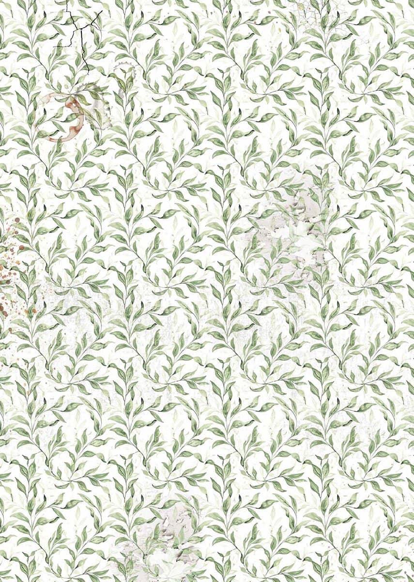 Vellum Paper A4 - Cabinet of Curiosities - 6 - pack - 2 - Ciao Bella - Tidformera