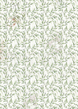 Vellum Paper A4 - Cabinet of Curiosities - 6 - pack - 2 - Ciao Bella - Tidformera