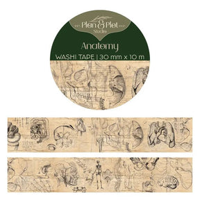 Washi tape Plan & Plot - Anatomy 30 mm - 1 - Plan & Plot Studio - Tidformera
