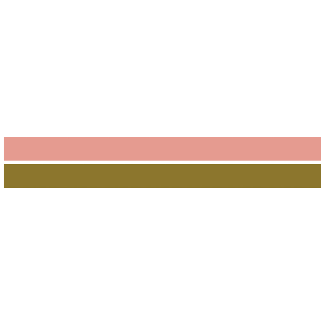 Washi Tape - Upcycled - 2 - pack Rose pink Uguisu - 3 - MT masking tape - Tidformera